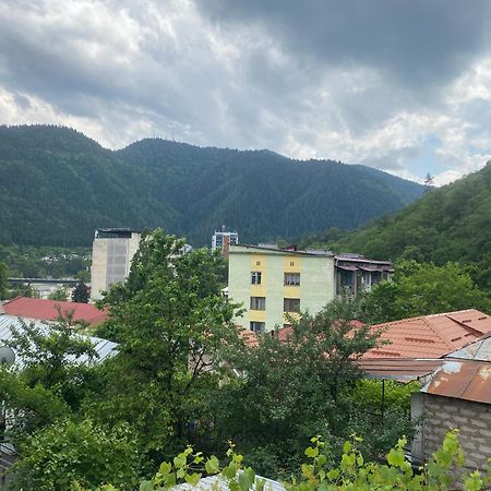 Hillside Guesthouse Borjomi Exterior photo