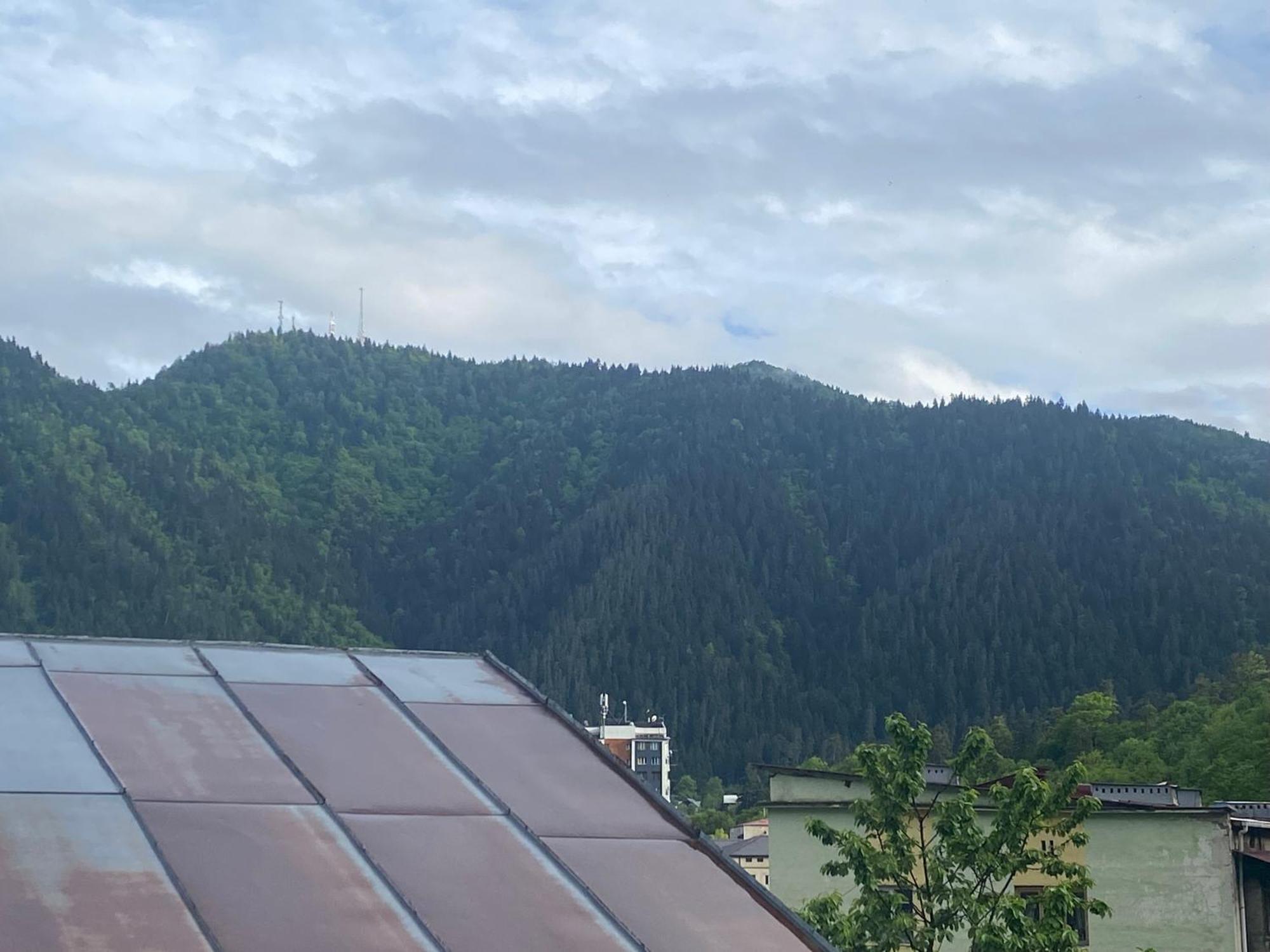 Hillside Guesthouse Borjomi Exterior photo