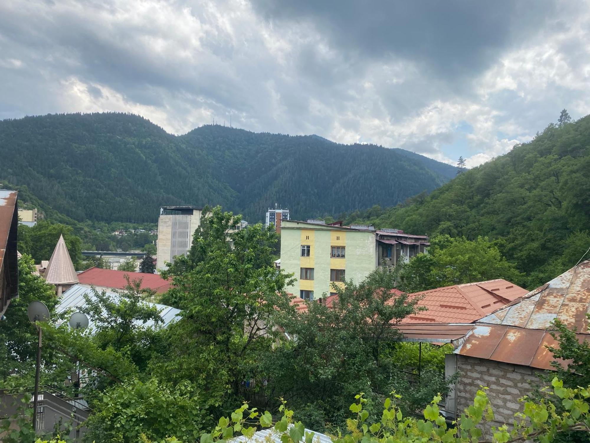 Hillside Guesthouse Borjomi Exterior photo